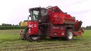 Dewulf ZBII  2row selfpropelled toplifting harvester with bunker [upl. by Ybba]