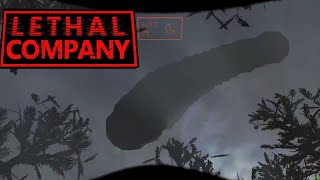 An Alaskan Bull Worm Ate My Friend  Lethal Company [upl. by Eet]