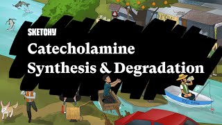 Catecholamine Synthesis amp Degradation Part 1  Sketchy Medical  USMLE Step 1 [upl. by Powel]