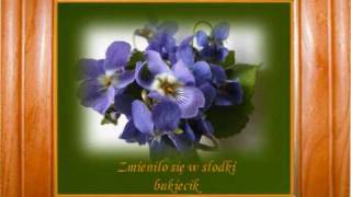 SŁODKIE FIOŁKI SWEET VIOLETS SŁAWA PRZYBYLSKAwmv [upl. by Joete]