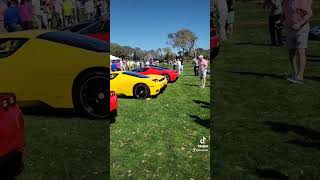 renting exotic cars ferrari bugatti lamborghini porsche richlifestyle [upl. by Madge]