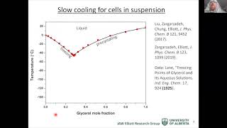 Cryopreservation of cells monolayers and tissues [upl. by Lj723]