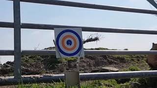 AIR ARMS TX200 HC 22 CAL 35 YARDS MY FIRST SHOTS [upl. by Aimik]