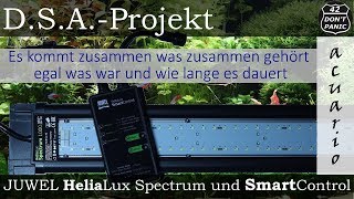 JUWEL HeliaLux Spectrum und SmartControl Beste LED Aquarien Beleuchtung  DSAProjekt [upl. by Tootsie978]