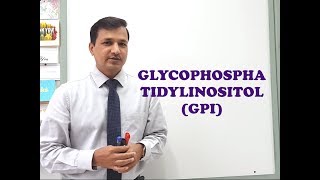 Glycophosphatidylinositol GPI  A Quick Review [upl. by Raff]