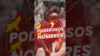 ✅ Nombres para perros rottweiler MACHO💪 [upl. by Brandais]