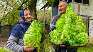 Fresh Spring Cabbage For Juicy and Delicious Dolma [upl. by Asenev]