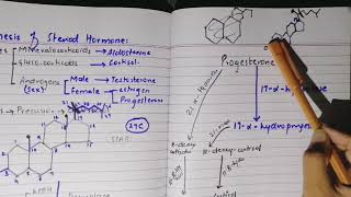 Synthesis of steroid hormone part 2 [upl. by Nance]