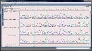 DNASTAR  Assembling and Analyzing Sanger Sequencing Data [upl. by Reinaldo]