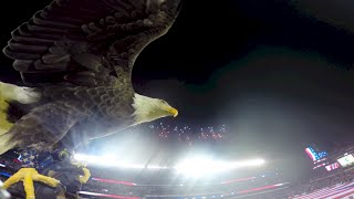 Challenger Soars at Philly Eagles Military Appreciation Game 2014 [upl. by Rheta832]