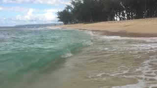 Polo Beach adventures Oahu HI August 15 2018 [upl. by Nikolos]