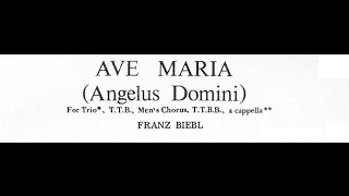 Biebl  Ave Maria Angelus Domini for Mens Chorus with score [upl. by Aicilram]