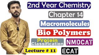 2nd Year Chemistry Chapter 14 Macromolecules Biopolymers Protein Classification of ProteinLec11 [upl. by Enelrak]