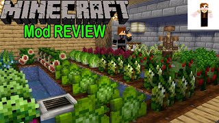 Pams HarvestCraft mod Review  La mejor comida de Minecraft  Minercaft ESPAÑOL 1122 [upl. by Arlee]