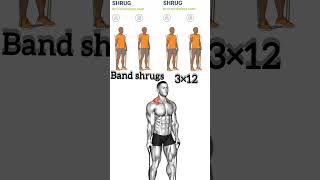 Band shrugs workout  Body building workout shorts [upl. by Harry174]