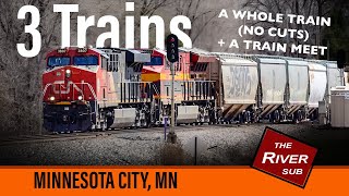 Railfanning Three CPKC Trains at MN City [upl. by Enylekcaj]