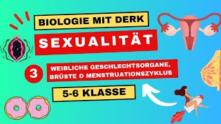 Sexualität  3  Weibliche Geschlechtsorgane Brüste amp Menstruationszyklus  5 amp 6 Klasse [upl. by Astiram40]