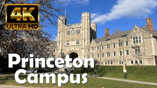 Princeton University  4K Campus Walking Tour [upl. by Ennaj]