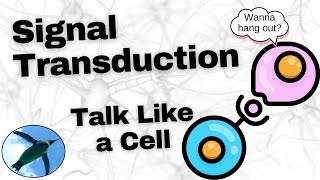 Basic Signal Transduction Ligands and Receptors [upl. by Ez347]