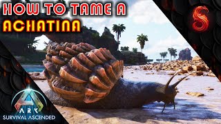 ARK SURVIVAL ASCENDED HOW TO TAME A ACHATINA [upl. by Merideth602]