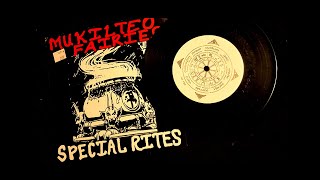 MUKILTEO FAIRIES   Special Rites  7 Inch [upl. by Eimrej]