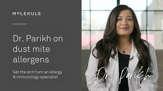 Allergy amp immunology specialist Dr Parikh explains dust mites 101 [upl. by Priscilla]