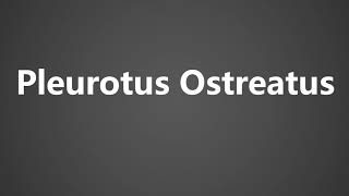 How to Pronounce Pleurotus Ostreatus [upl. by Sunil]