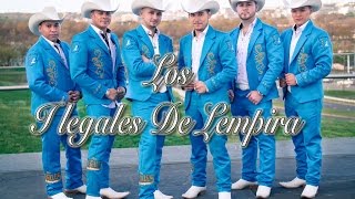 ILEGALES DE LEMPIRA  TEQUILA Y BUCANA Video Oficial 2017 [upl. by Aemat]