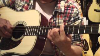 MARTIN Custom Shop D28 Cocobolo Demo by 細川MASH [upl. by Ydnab]