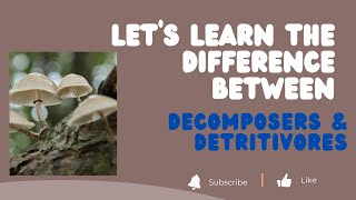 Difference Between Decomposers amp Detritivores  UPSC  Environment  Prelims 2023 [upl. by Marwin845]