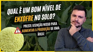 Afinal Qual é um BOM NÍVEL de enxofre no solo [upl. by Affra]