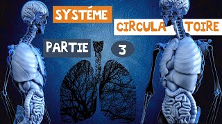 le système circulatoireles artères et les veines partie 3 [upl. by Nyrahtak]