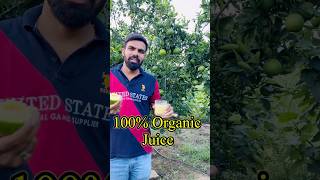 फार्महाउस से आज जूस पिया 👌fresh organic juice 🥤 [upl. by Sarat714]