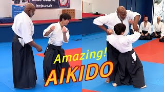 Amazing Aikido in the UK [upl. by Brand]