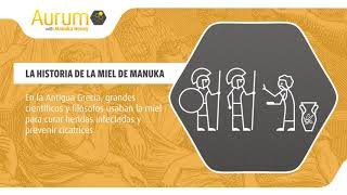 2 La historia de la miel de Manuka [upl. by Rosalinde883]