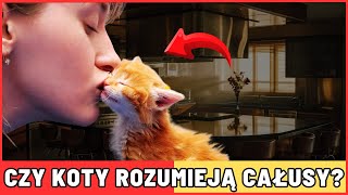 CZY KOTY ROZUMIEJĄ CAŁUSY [upl. by Medlin]