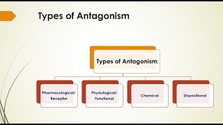 General Pharmacology  Drug Antagonism amp its Types [upl. by Irahc642]