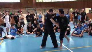 Silat Suffian Bela Diri  5th of 5 days Italian Intensive Camp 2013 [upl. by Roddie]