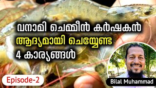 4 Things A First Time Vanamei Shrimp Farmer Should Do  വനാമി ചെമ്മീൻ കർഷകൻ ചെയ്യേണ്ട 4 കാര്യങ്ങൾ [upl. by Jojo]