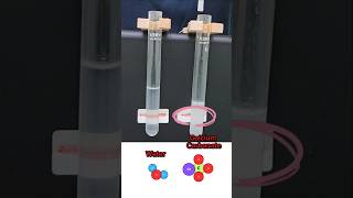 CARBON DIOXIDE VS LIMEWATER 💨💨 chemistry science gas highschool experiment [upl. by Zeitler]