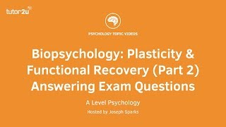 Revision Webinar Biopsychology – Plasticity amp Functional Recovery Part 2 Answering Exam Questions [upl. by Arlana]