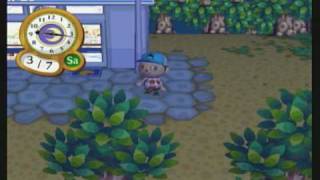 Animal Crossing City Folk  Nooks Cranny Lets Play Ep 2 [upl. by Boy92]