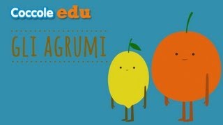 🍊Gli agrumi 🍋 Tutto ciò che cè da sapere  Coccole Edu [upl. by Dnama]