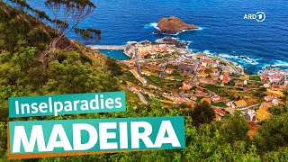 Madeira – AussteigerParadies im Atlantik  ARD Reisen [upl. by Suedama]