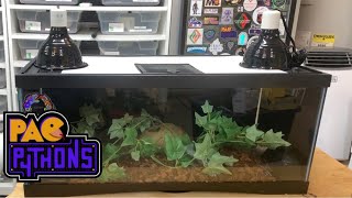 How to setup your Ball Python Terrarium  DIY Cheap Terrarium Hacks [upl. by Almeda]