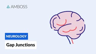 Gap Junctions Intercellular Communication [upl. by Cuhp786]