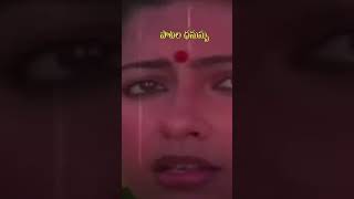 దంచవే మేనత్త కూతురా  Danchave Menatha Kuthura  Song short  Mangamma gari Manavadu 1984 [upl. by Louie]