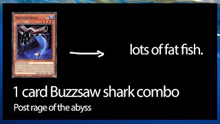 HUGE 1 card buzzsaw shark combos for plenty interruptions post support yugioh [upl. by Gilemette300]