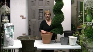 How To Pot A Spiral Topiary For Outdoor Or Indoor Use [upl. by Lleznov]