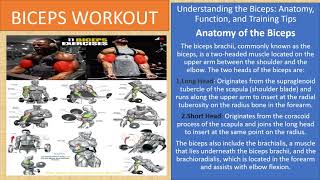 Understanding the Biceps Anatomy Function and Training Tips viral transformation weekly [upl. by Bushweller]